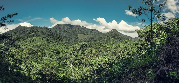 Taytamaki Tarapoto